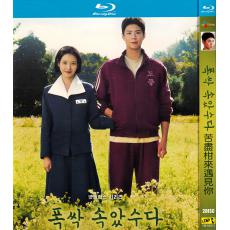 TM-R3813 When Life Gives You Tangerines(2025)【2BD】TV Series